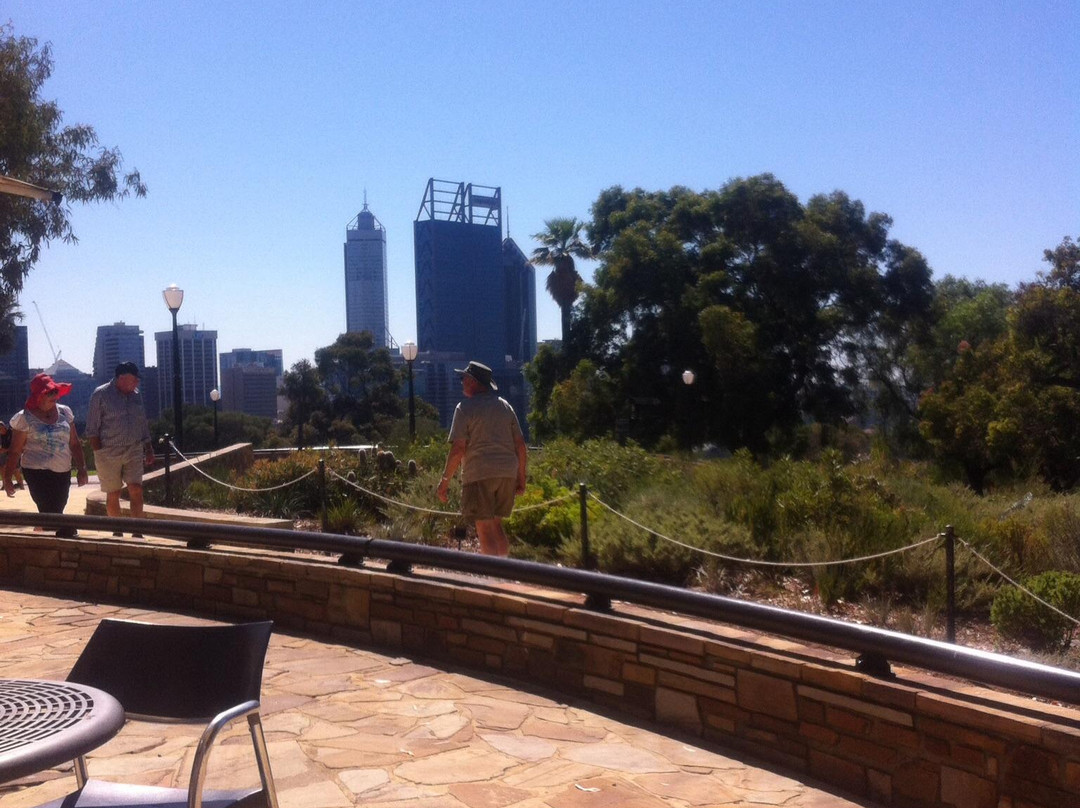 国王公园战争纪念碑-珀斯必去景点