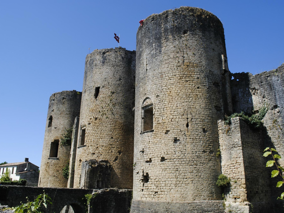 Château de Villandraut景点图片