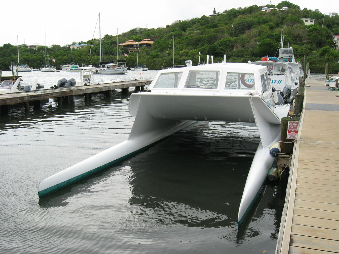 Dolphin Water Taxi-圣 托马斯必去景点