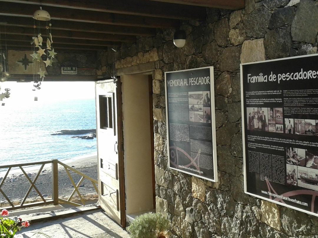 Trecepeces Fuerteventura-富特文图拉必去景点