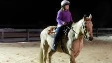 DreamCatcher Horse Ranch and Rescue景点图片