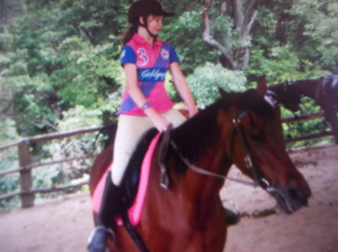 Otford Farm-Otford必去景点