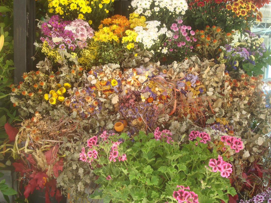 兰布拉大道-巴塞罗那必去景点