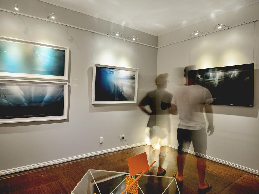 The Channon Gallery景点图片