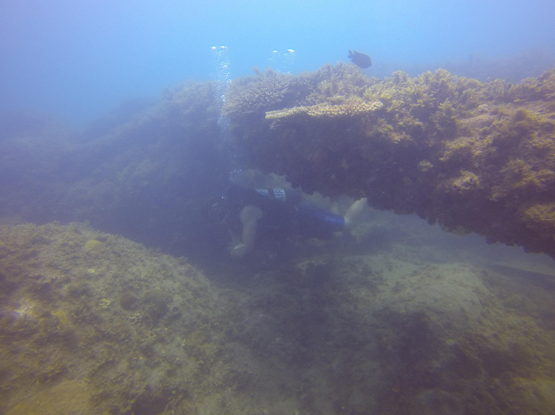 Keswick Underwater Adventures景点图片