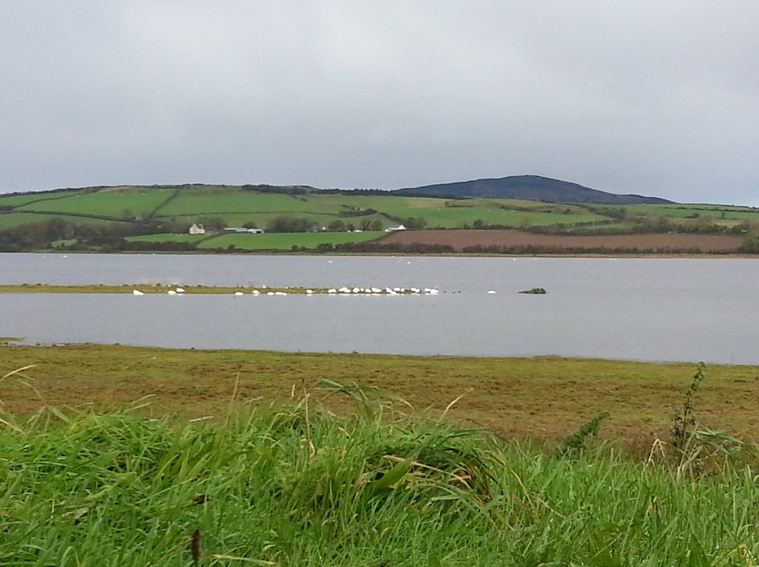 Inch Wildfowl Reserve-Burt必去景点