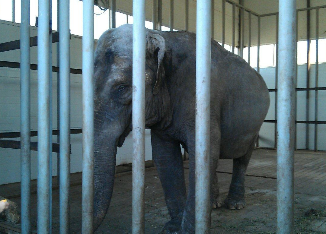 Starooskolsky Zoo-Stary Oskol必去景点