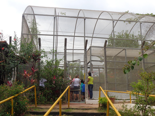 Osasco旅游景点-Borboletario de Osasco