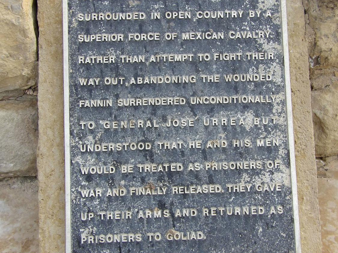 Monument to Georgia Volunteers景点图片