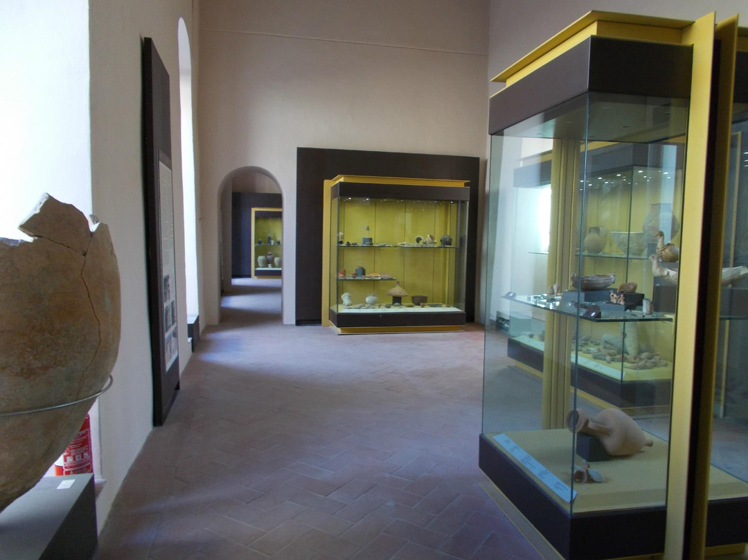 Antiquarium D. Ryolo景点图片