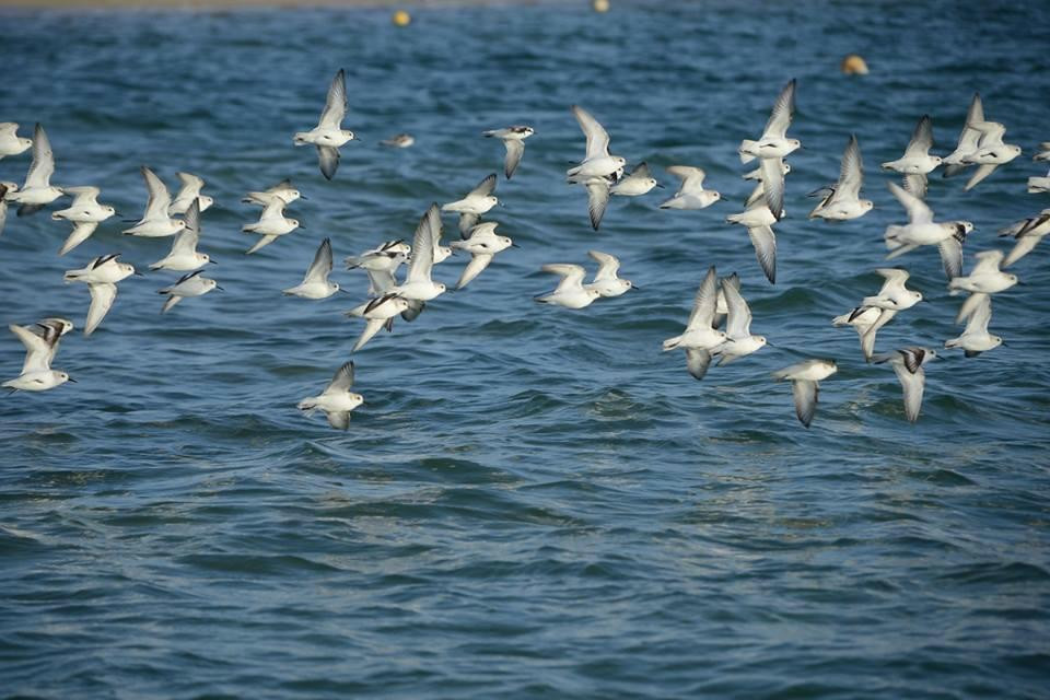 ALGARVE WOW- Day Tours-Almancil必去景点