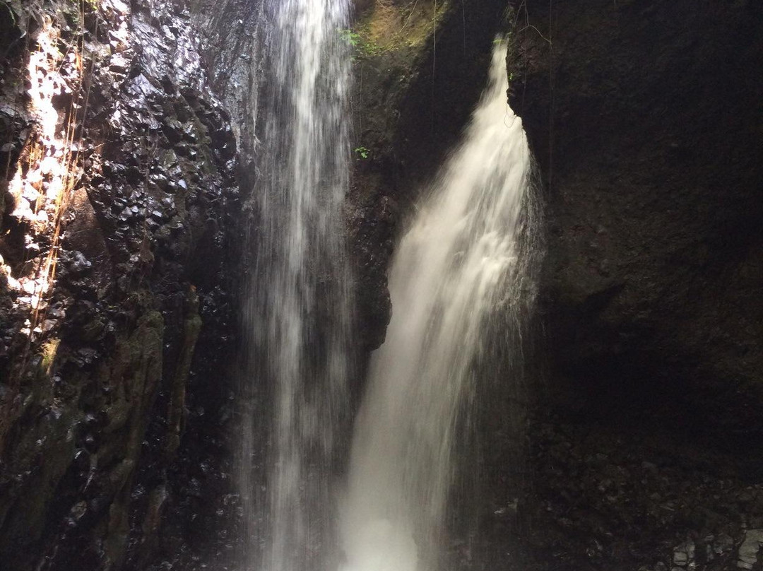 Gede Bali Driver-水明漾必去景点