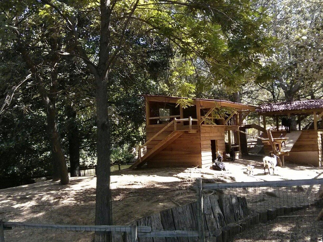 Petit Paradis de Vendargues景点图片