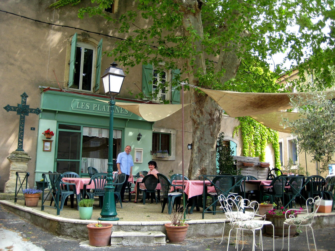 Montels餐馆和美食-Les Platanes