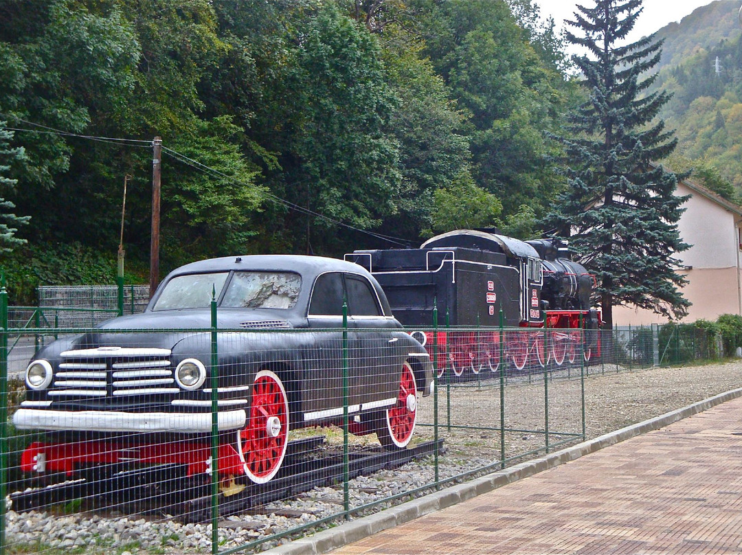 Sinaia train exhibition景点图片