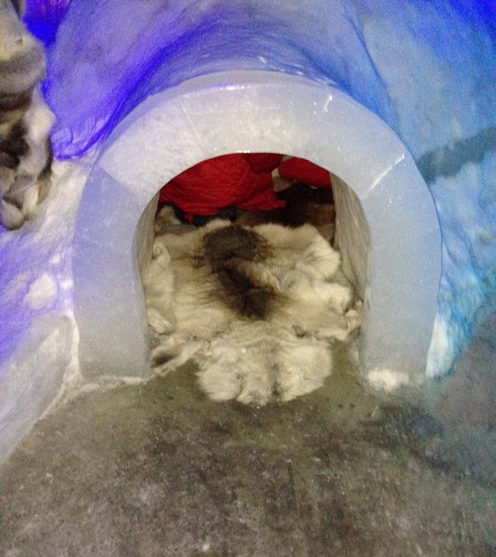 Artico Icebar-霍宁斯沃格必去景点