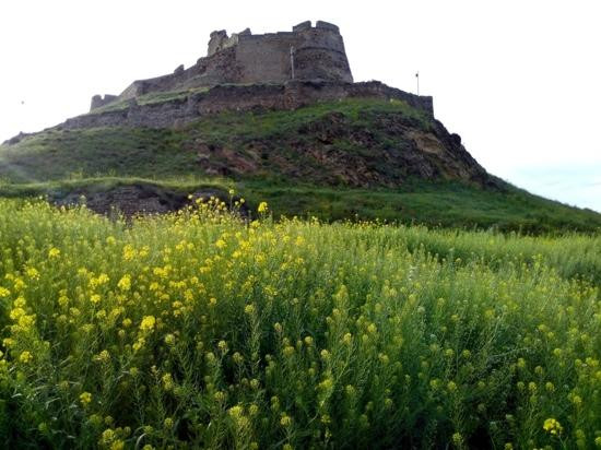 Gori Fortress-Gori必去景点