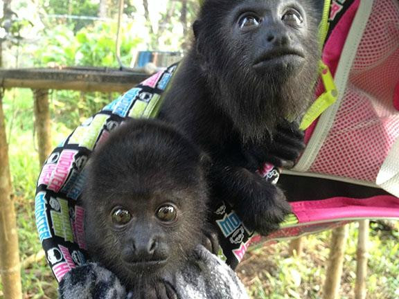 Aluxes Ecoparque-帕伦克必去景点