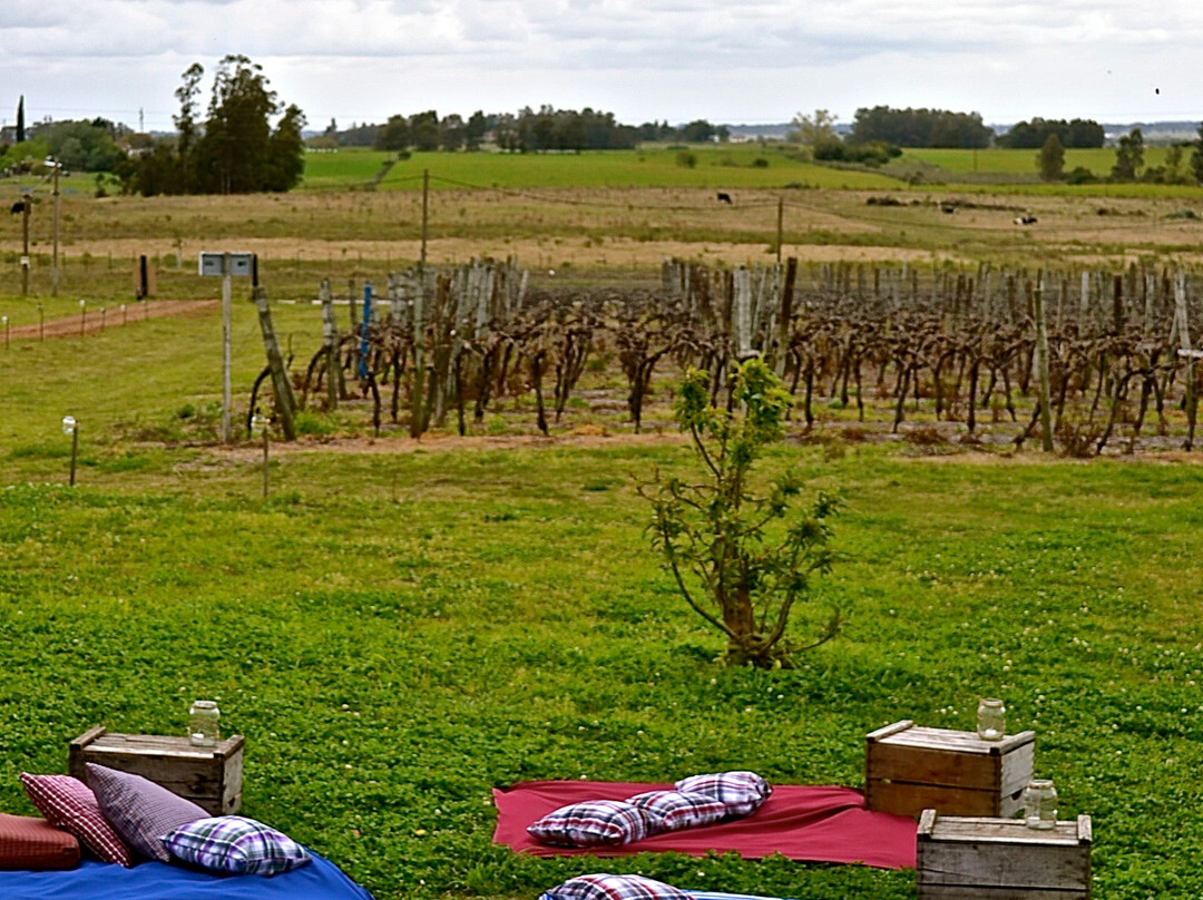 Los Nadies-Canelones必去景点