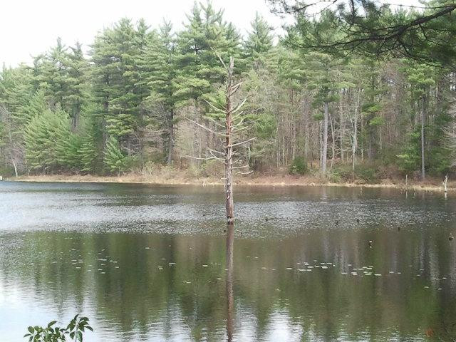Beaver Brook Reservation景点图片