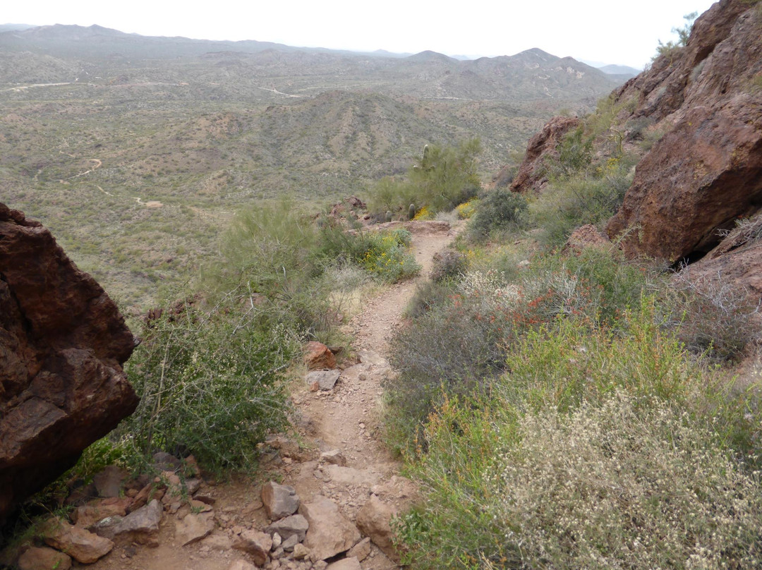 Vulture Peak Trail-Wickenburg必去景点