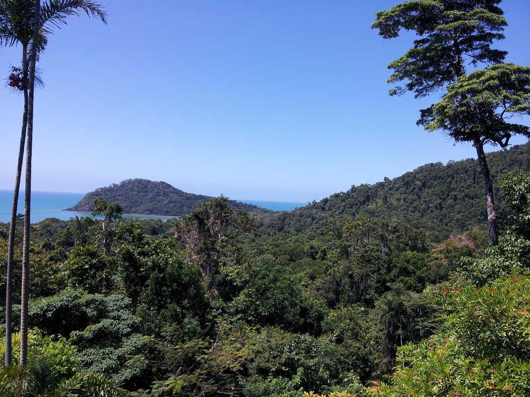 Cape Tribulation Sanctuary主图