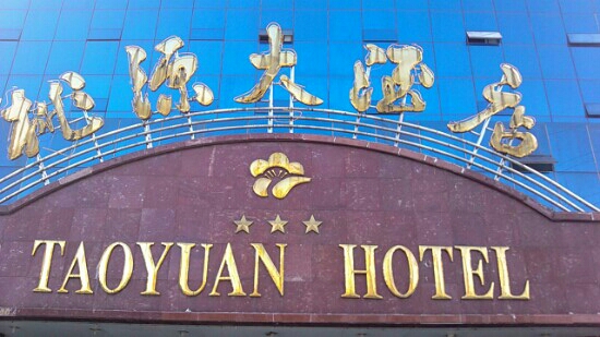 桃源大酒店-客卧