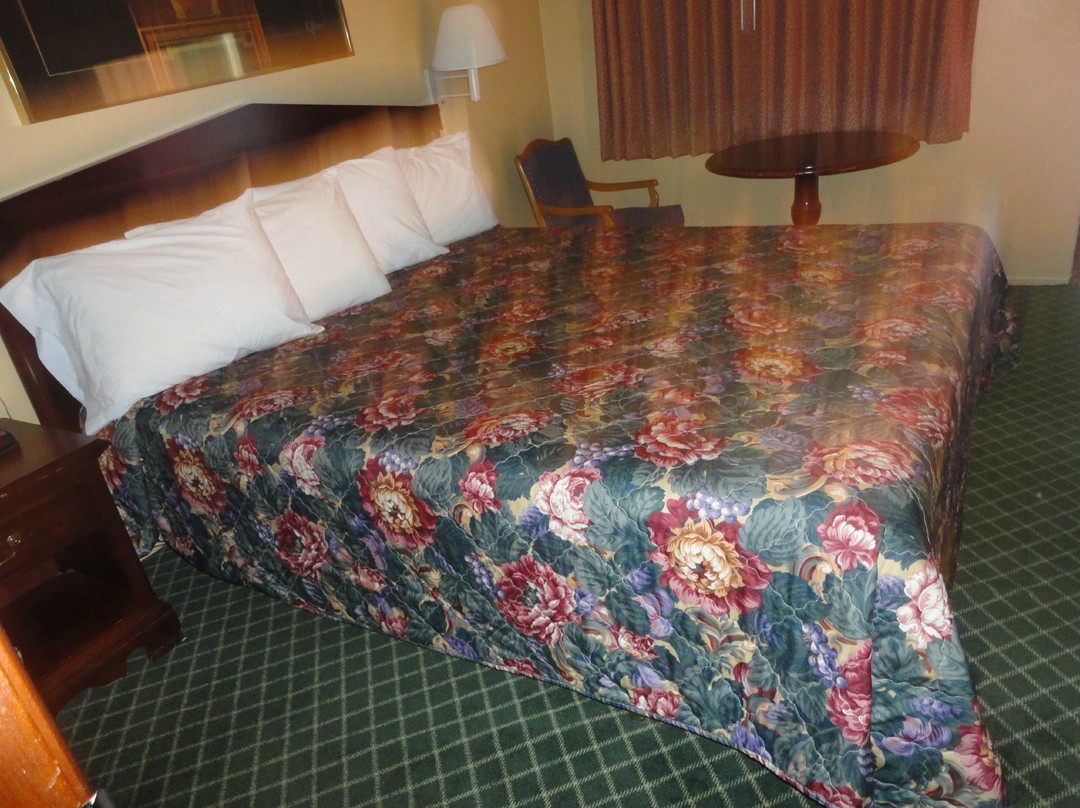 科鲁萨汽车旅馆主图