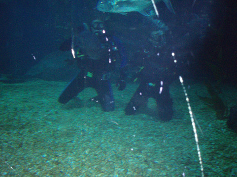 暹罗中心-曼谷必去景点