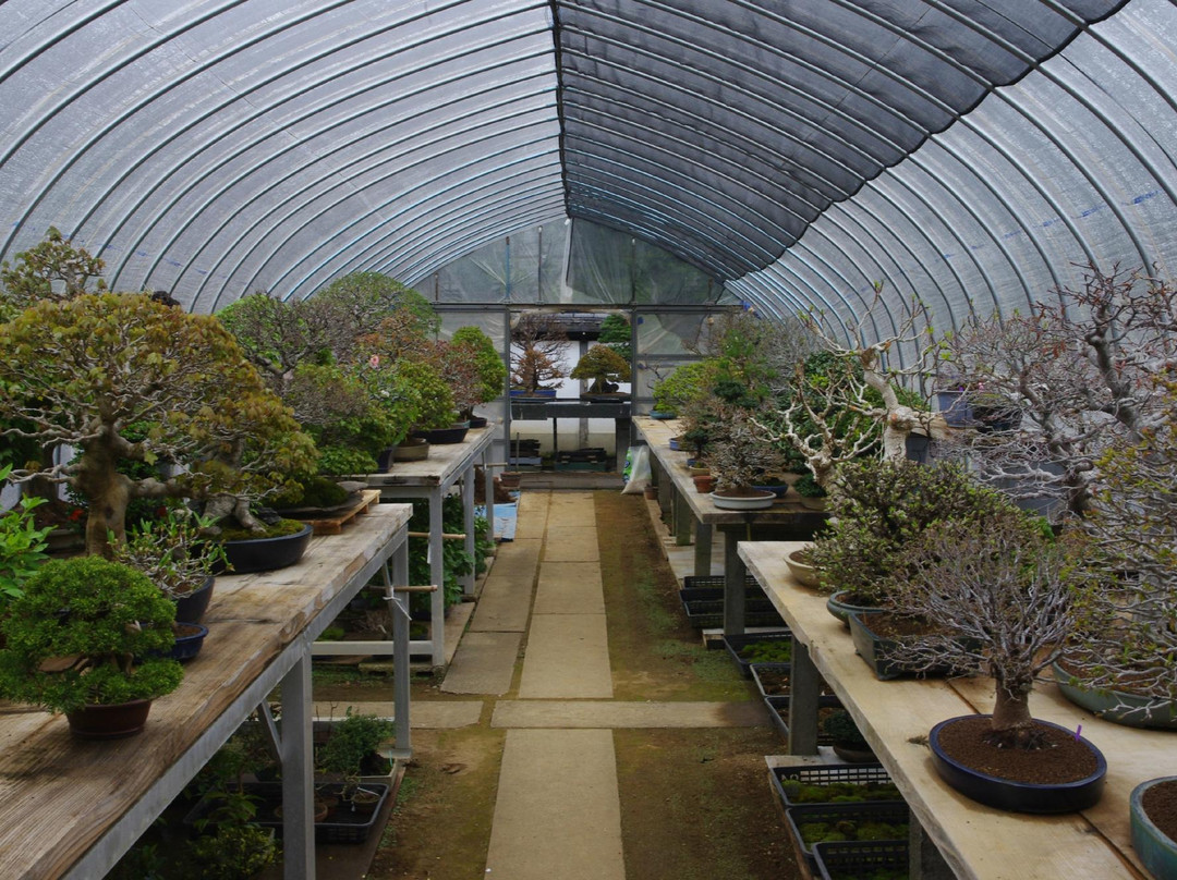 Omiya Bonsai Village-埼玉市必去景点