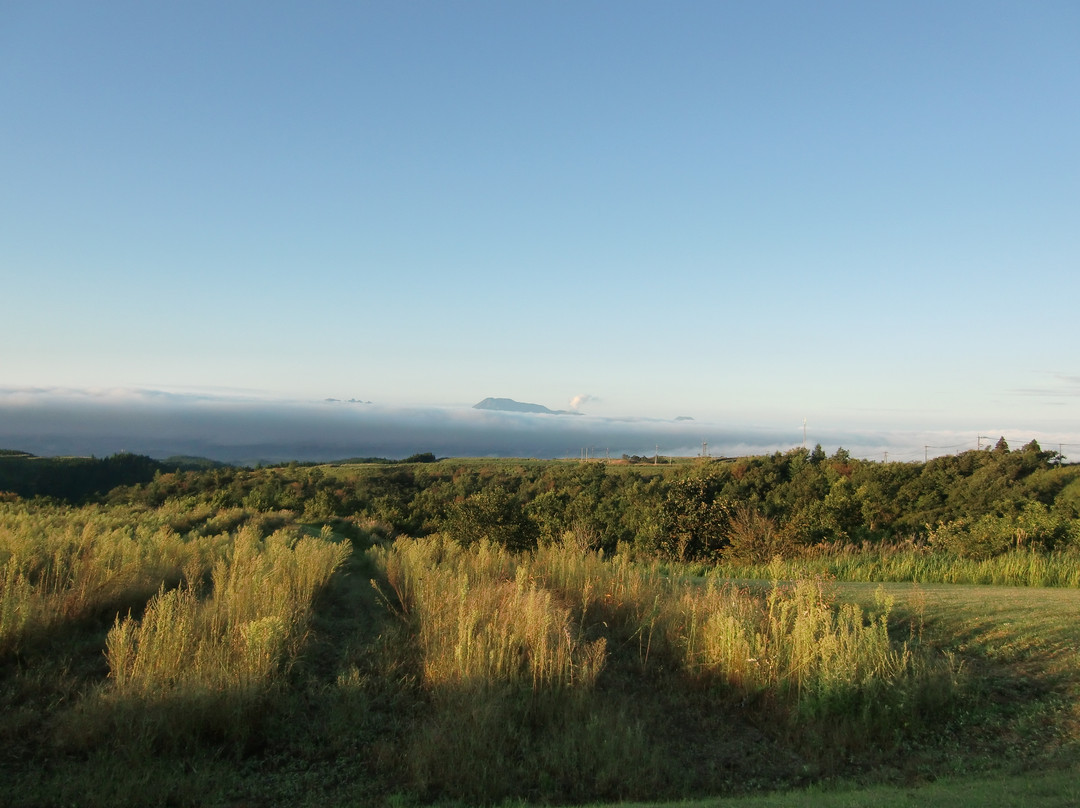 Higotai Park Camping Village