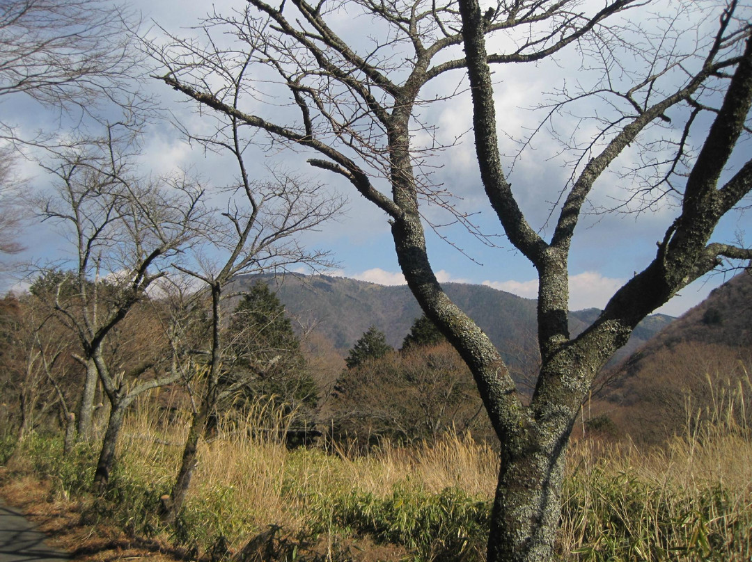 Chisuji Falls-箱根町必去景点