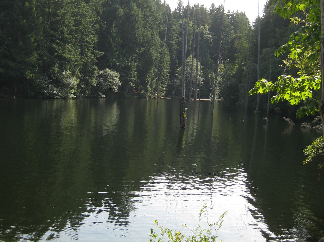 Colliery Dam Park景点图片