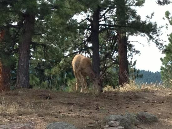 Flagstaff Mountain-博尔德必去景点