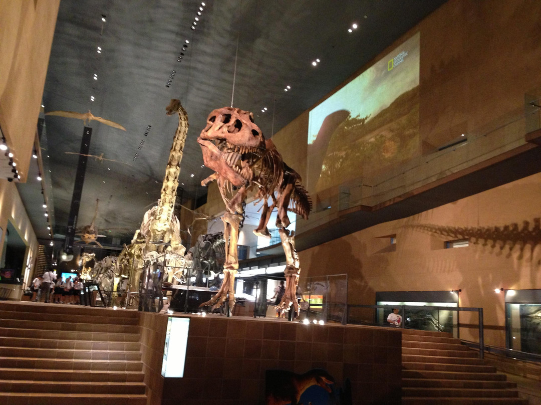 Kitakyushu Museum of Natural History & Human History-北九州市必去景点