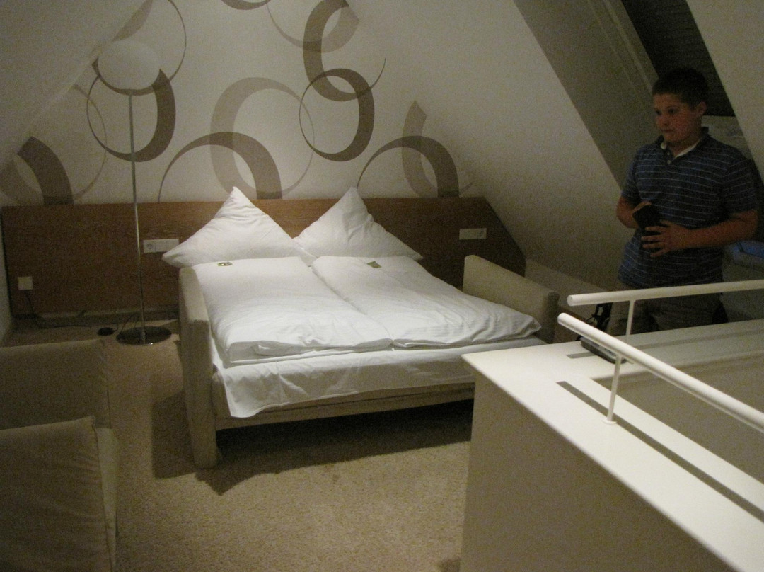 Hotel-Gasthaus Rossle主图