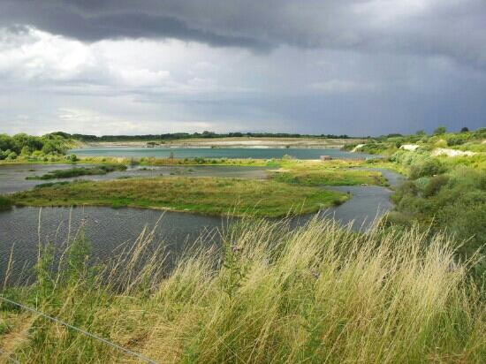 College Lake Nature Reserve景点图片