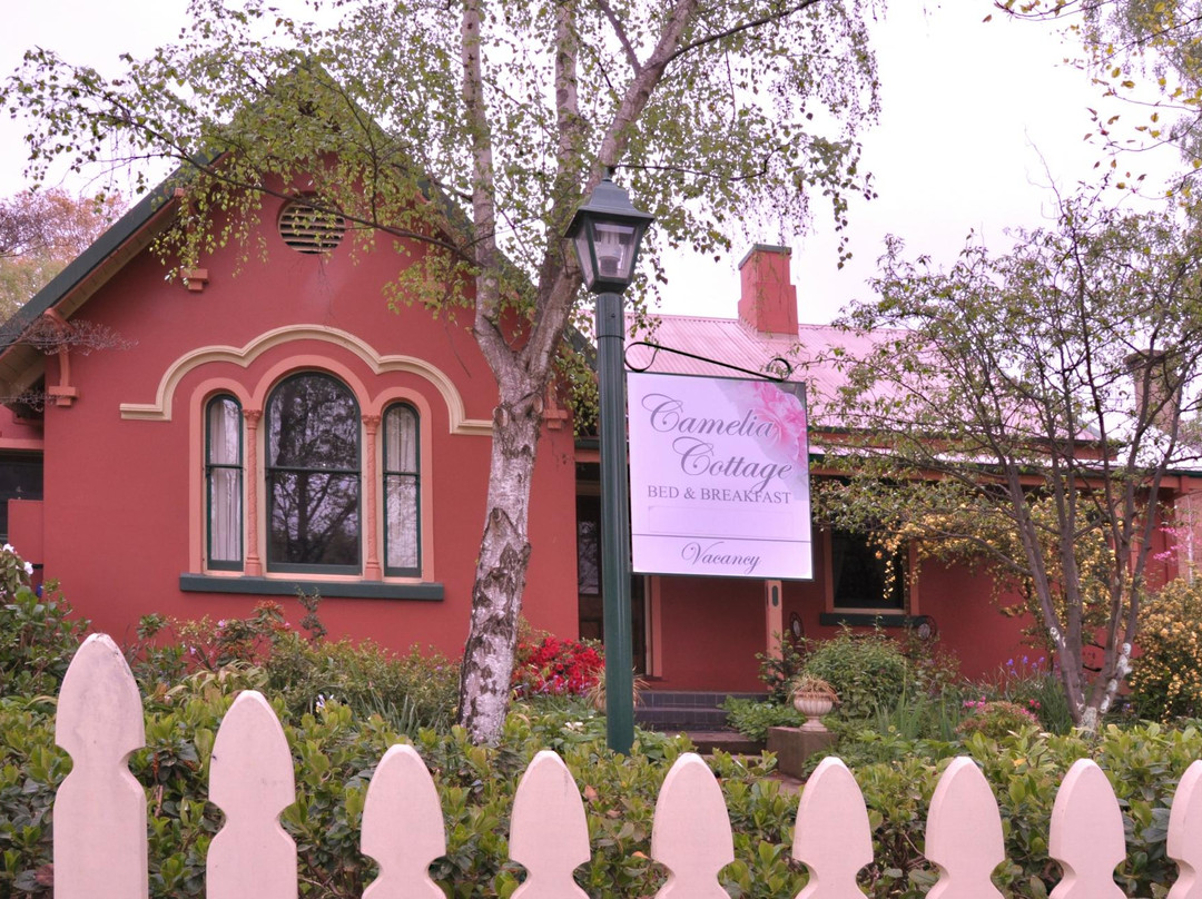 Camelia Cottage主图