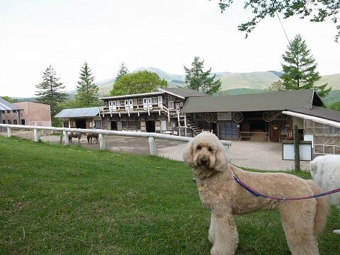 Hope Lodge Ranch Horseback Riding-茅野市必去景点