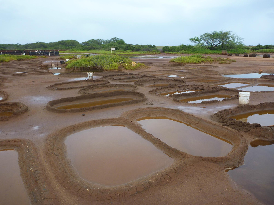Hanapepe Salt Ponds-哈纳佩佩必去景点