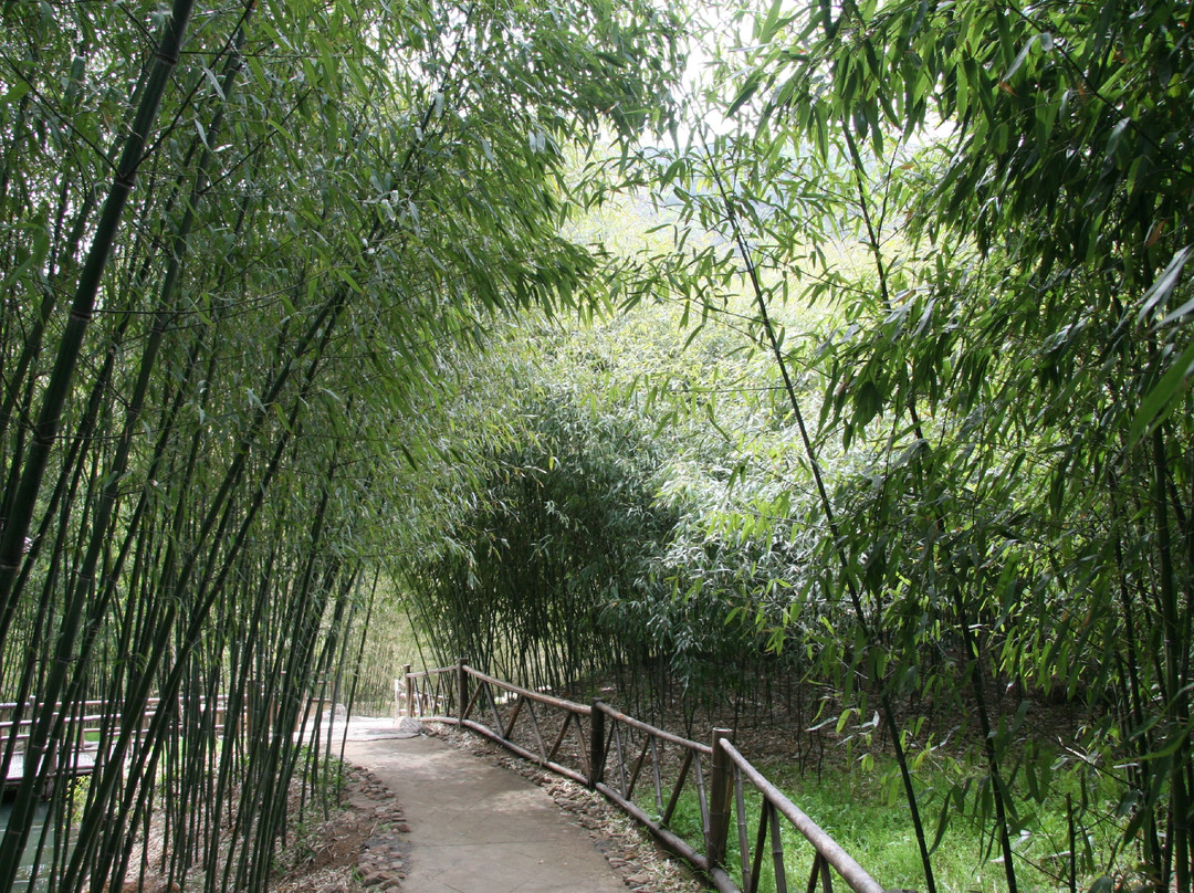 海阳云顶-海阳市必去景点