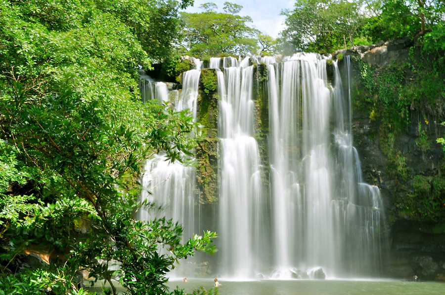 Costa Rica Jungle Tours景点图片