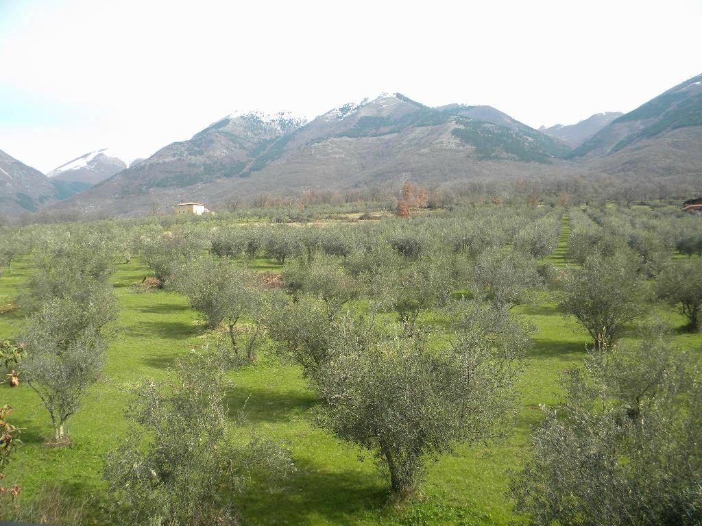 Green Park Tullio-酒店景观