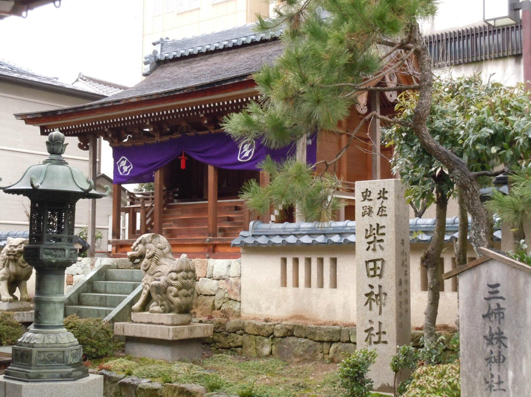 Kitanosho Castle Park景点图片