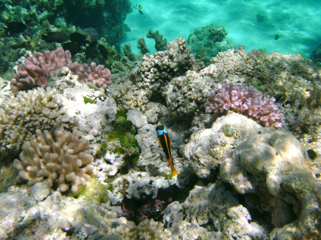 Easo Beach-Lifou必去景点