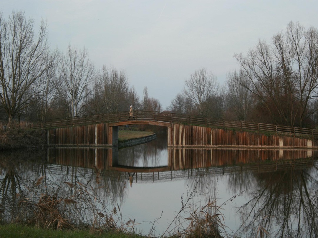 Parco Urbano G. Bassani景点图片