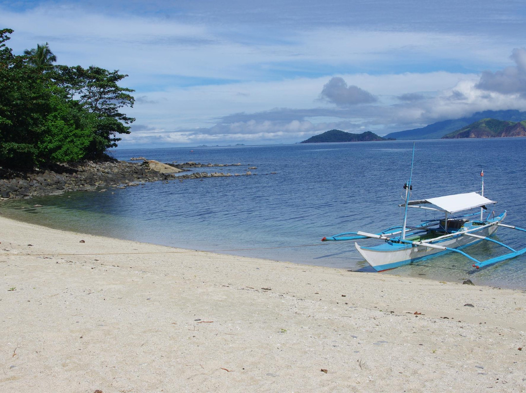 Dalutan Island景点图片