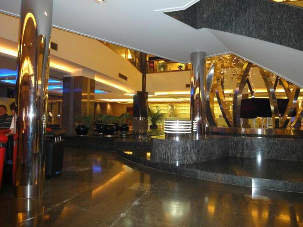 金花豪生国际大酒店-客卧