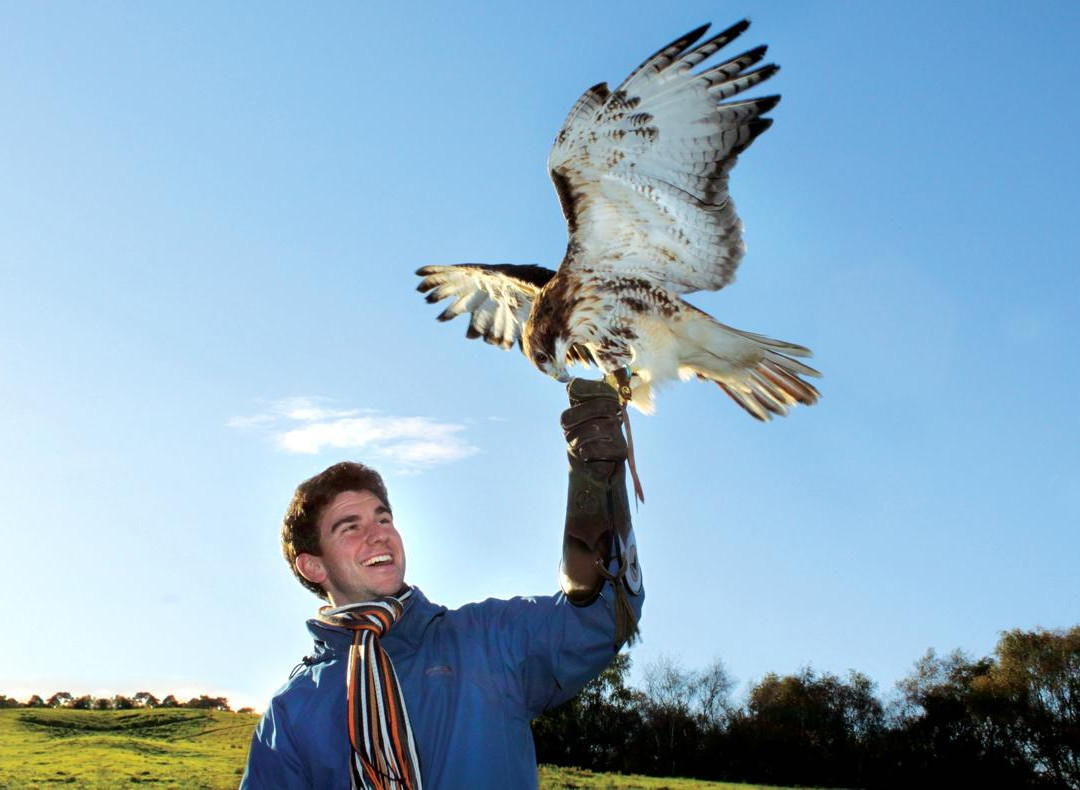 Cheshire Falconry-Northwich必去景点