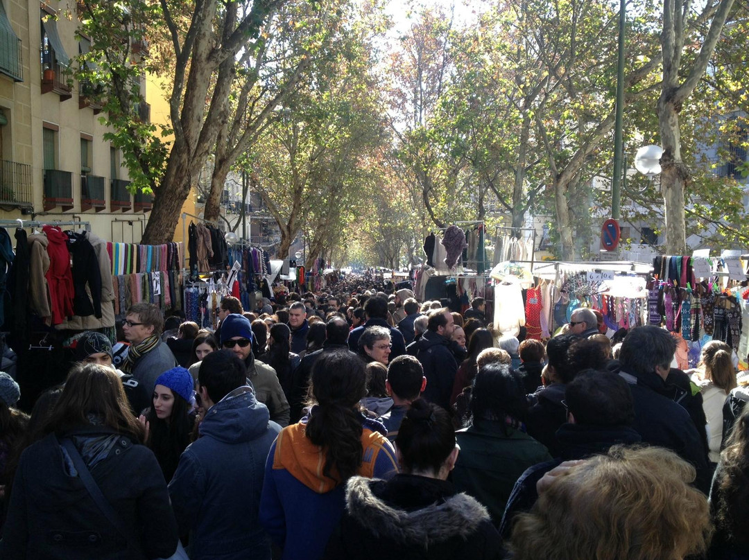 埃尔拉斯特洛跳蚤市场-马德里必去景点